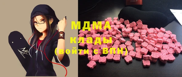 индика Михайловск