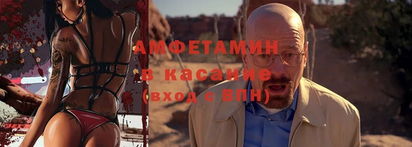 индика Михайловск