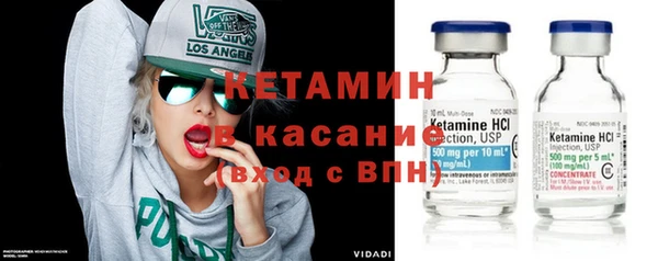 индика Михайловск