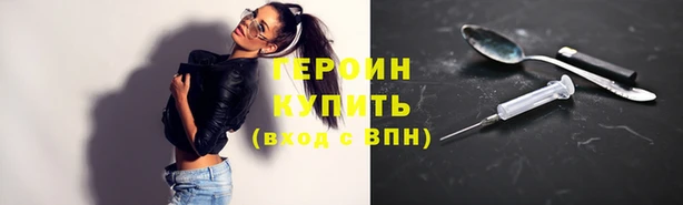 индика Михайловск