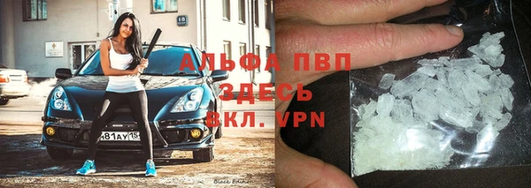 индика Михайловск