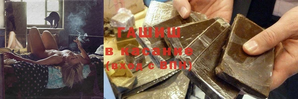 индика Михайловск
