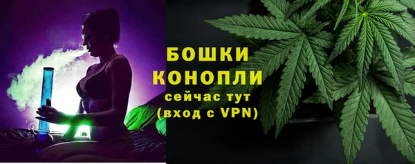 индика Михайловск