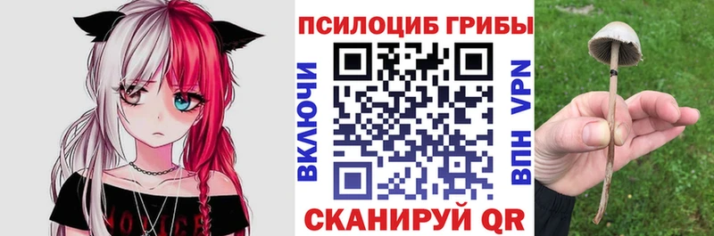 как найти наркотики  Нахабино  Псилоцибиновые грибы Magic Shrooms 